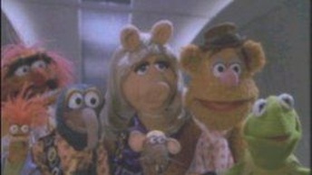 Muppet Racemaniaocchiello.jpg