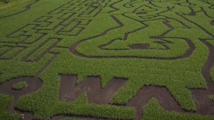 Il nuovo trailer di Anthem e enigmatico