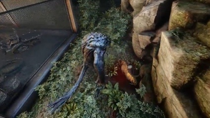 Evolve mostra la modalita Osservatore