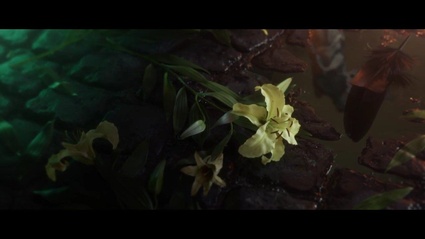 Announcement Trailer