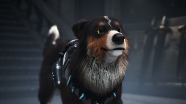 Digital Dragons 2026 - Barkour: lo 007 a quattro zampe di Varsav Studio