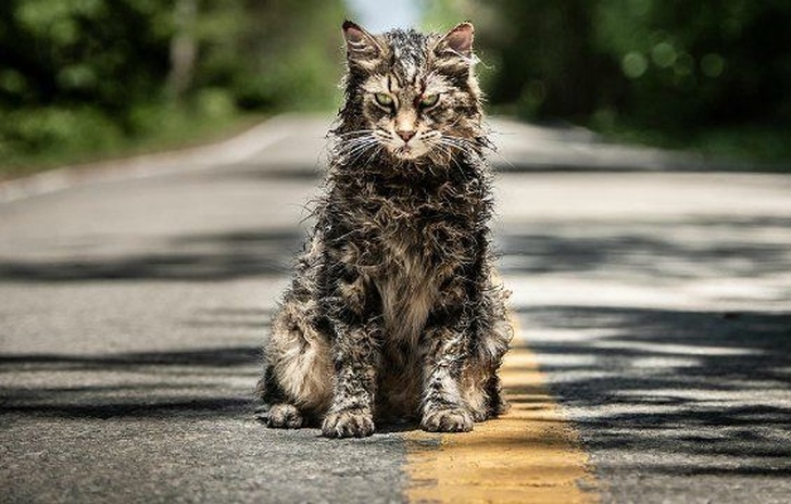 Primo trailer italiano per Pet Sematary