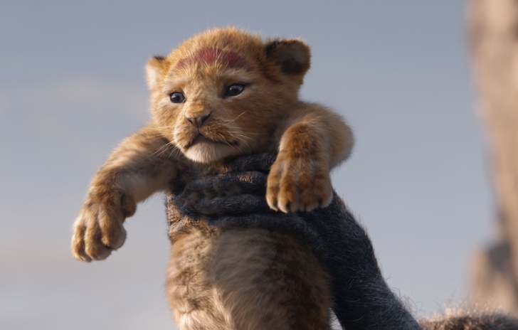 Un nuovo trailer per Il re Leone