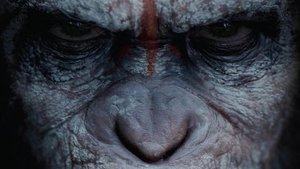 Cesare e il suo esercito si mostrano per la prima volta