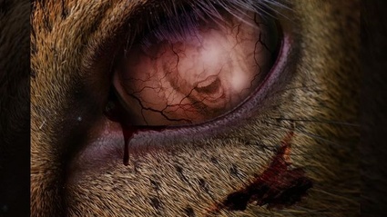 Bambi: la resa dei conti