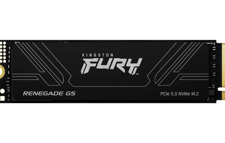 Kingston Fury Renegade G5  SSD PCIe 50 per il gaming