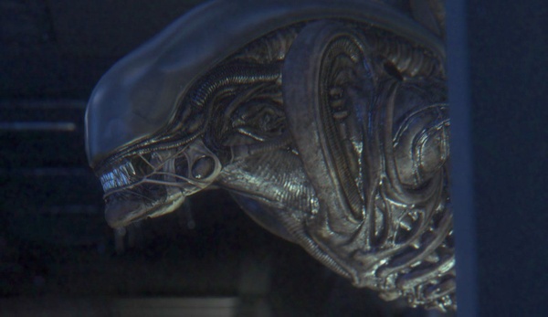 Qualche nuova immagine per Alien: Isolation