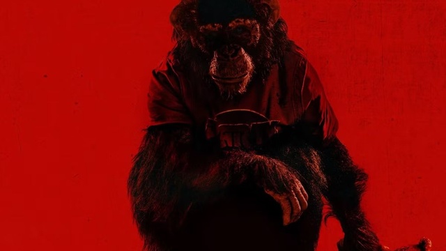Ben  Animal Rage A Rabid Monkey with a Slasher Soul