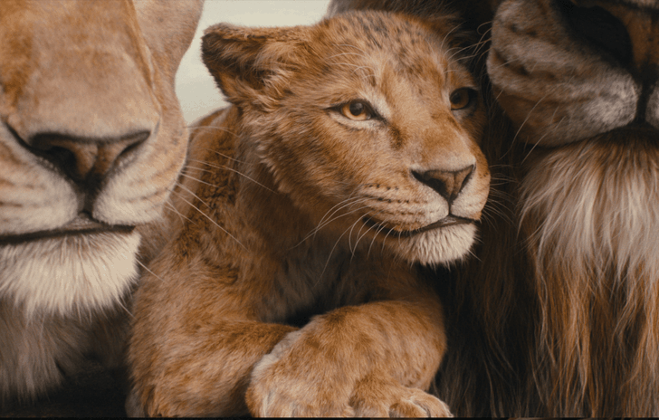 Mufasa sarà differente da Il re leone in meglio nella Savana con il papà di Simba