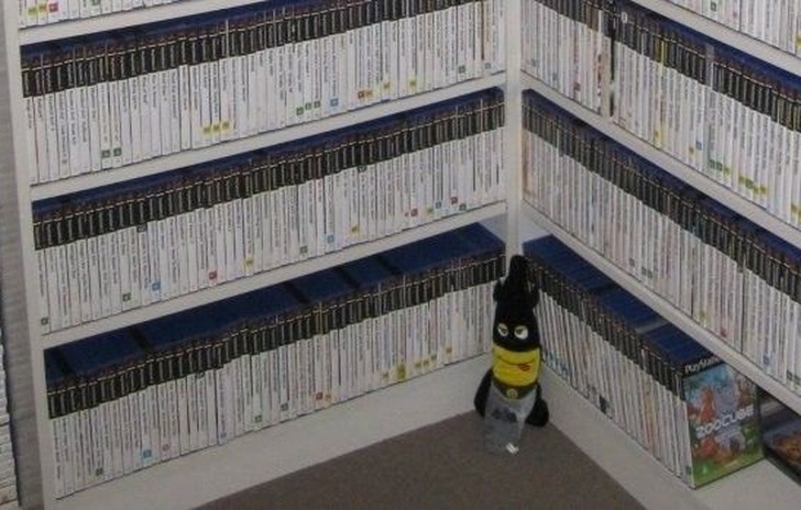 Un uomo sta cercando di raccogliere tutti i giochi PS2 del territorio PAL