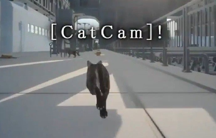 La CatCam di Final Fantasy XV in presa diretta
