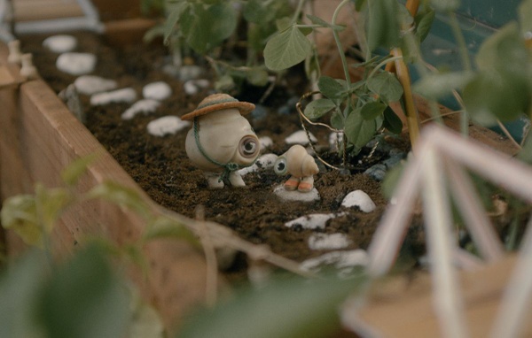 Marcel the Shell, recensione: una carezza in un dubbio