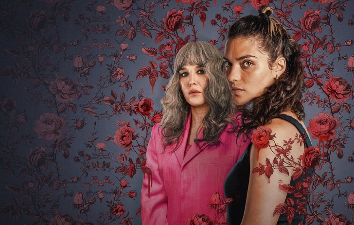 Soleil Noir la recensione faide e segreti di famiglia nelle campagne della Provenza