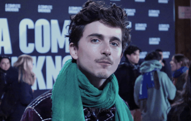 Bob Dylan ha insegnato a Timothée Chalamet a sbagliare con la sua testa
