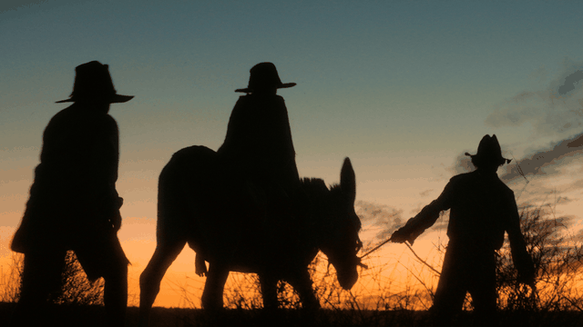 With Wolfram Australian Western specialist Warwick Thornton finally hits the mark