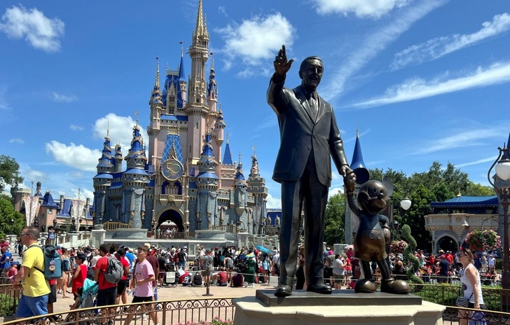 Estate 2025  Disney World in Florida diverte di meno