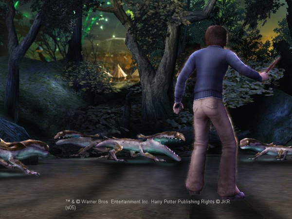 Harry Potter e il calice di fuoco