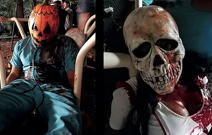 Halloween Dentro la nuova trilogia in un libro da collezione