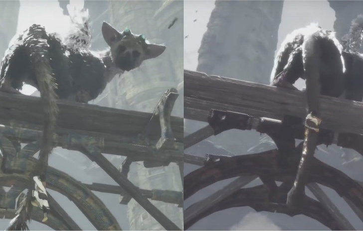Comè cambiato The Last Guardian nellultimo anno