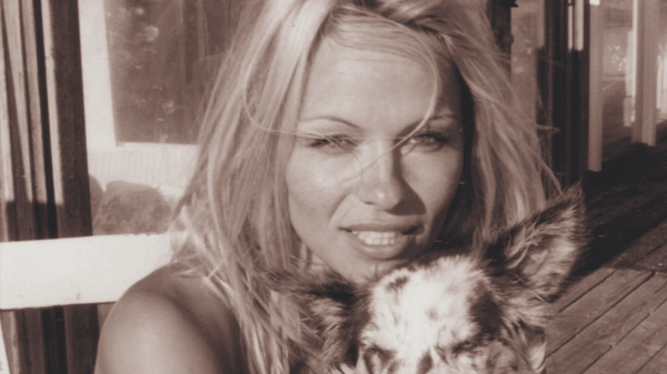 La stella di Pamela Anderson è tornata a brillare, solo in maniera differente