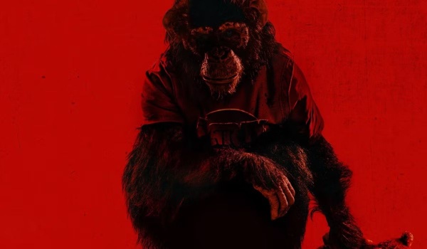  Ben - Rabbia Animale: una scimmia impazzita dall'anima slasher 