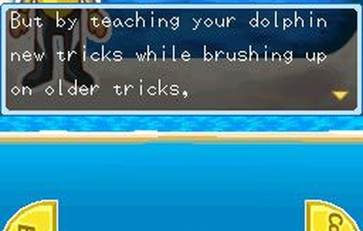 Dolphin World