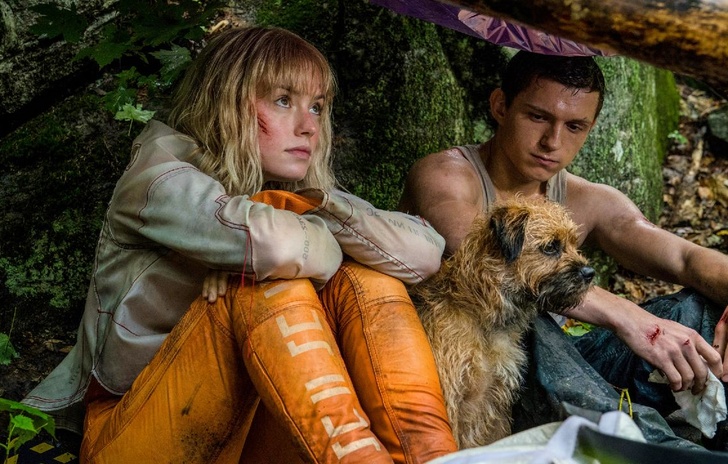 Chaos Walking Daisy Ridley e il disastro commerciale del film
