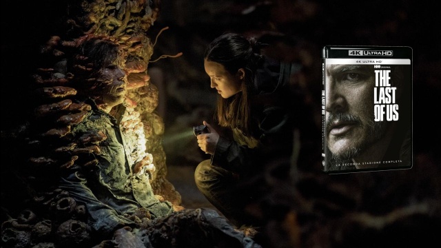 The Last of Us Season 2 Love Vengeance and Fractures in 4K