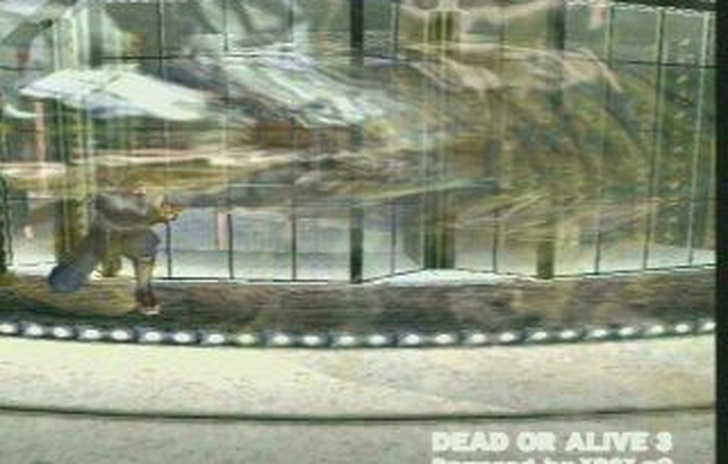 Dead or Alive 3