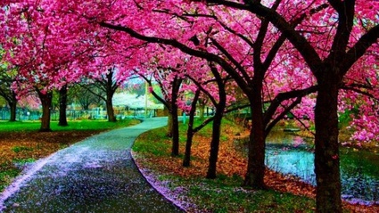 Classifica hardware settimanale JAP