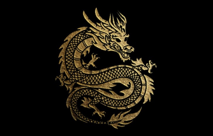 Order of the Dragon Ritorno allaction per Steven Seagal