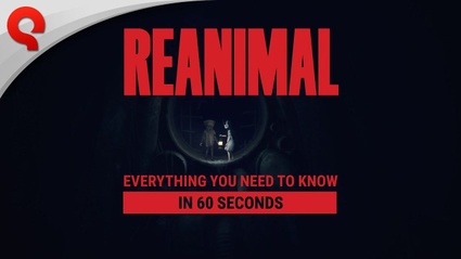 Reanimal: tutto quello che dovete sapere in 60 secondi