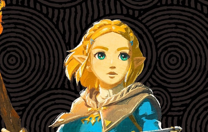 Un gioco dove si impersona Zelda Aonuma non lo esclude a priori