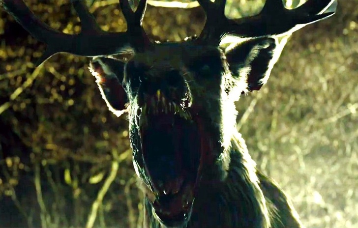 Bambi la resa dei conti Nel teaser il sogno diventa incubo