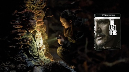 The Last of Us stagione 2: amore, vendetta e fratture in 4K 