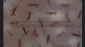 Tomorrow Never Diesocchiello.jpg