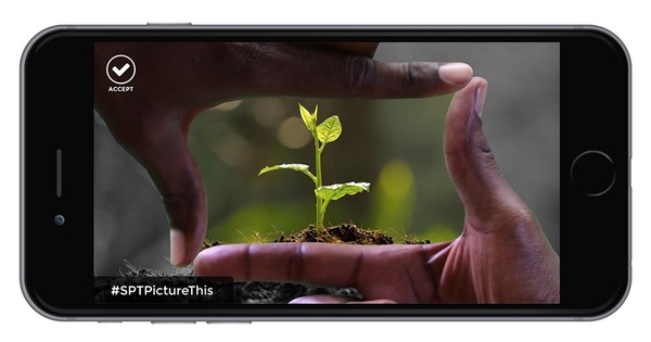 Sony Pictures Television Networks lancia l'app Picture This!