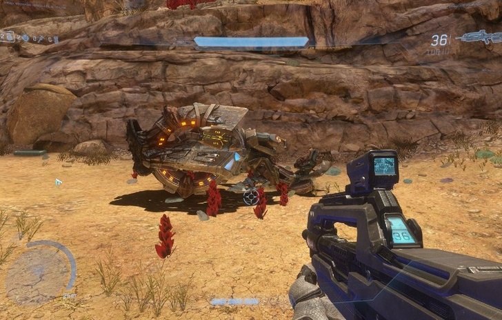 Pioggia di immagini e video per Halo Online