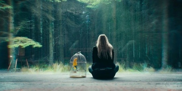 The Watchers – Recensione dell