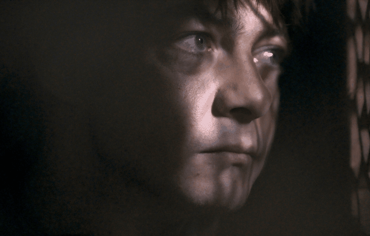 Luomo nel bosco la recensione del thriller che ha fatto innamorare i cinefili francesi