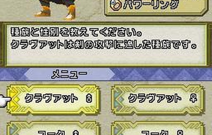 Final Fantasy Crystal Chronicles Echoes of Time