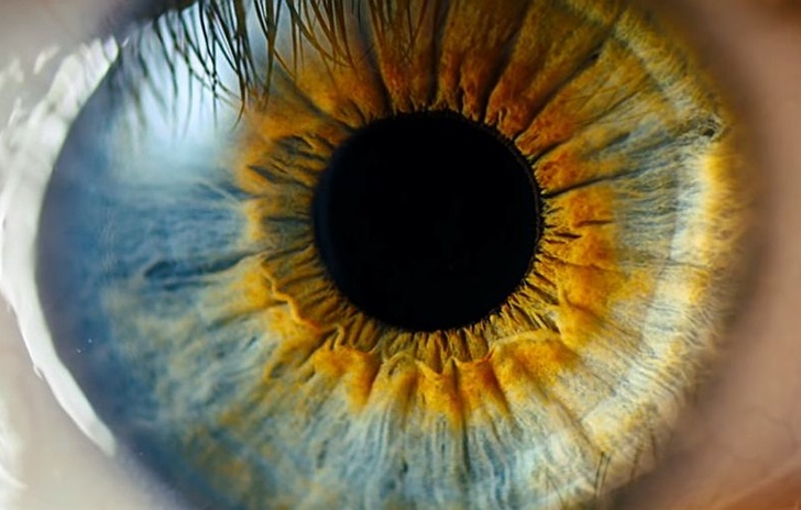 Arriva Track AI e rileva i disturbi visivi nei bambini