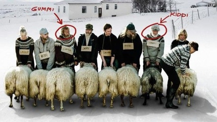 Trailer e poster italiani per Rams premiato a Cannes 2015