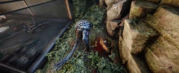 Evolve mostra la modalita Osservatore