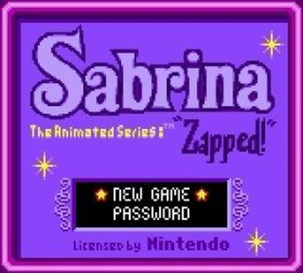 Sabrina the Animated Series: Zapped!