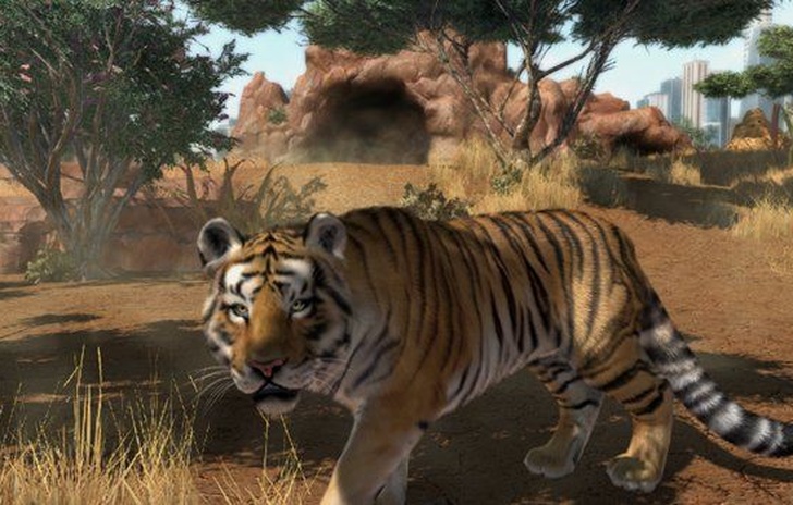Zoo Tycoon libera le tigri