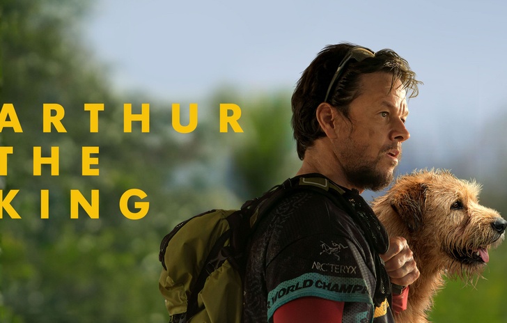 Arthur the King la commovente storia vera dellamicizia fra un uomo e un cane randagio