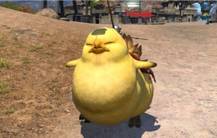 Fat Chocobo corre su Final Fantasy XIV