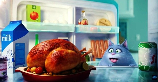 Pets - Vita da Animali vi augura Buone Feste con un simpaticissimo video!