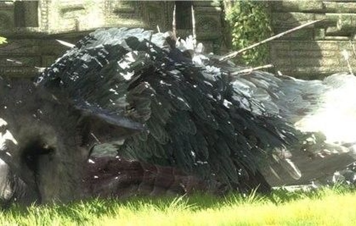 Trico appollaiato tra le guglie di Bloodborne